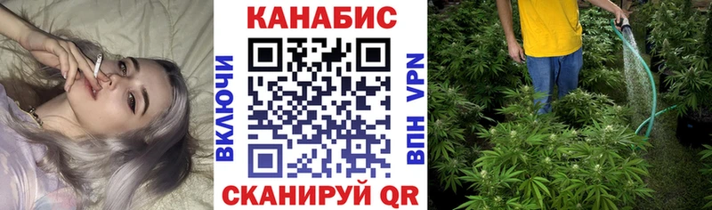 Бошки марихуана тримм  Курчалой 